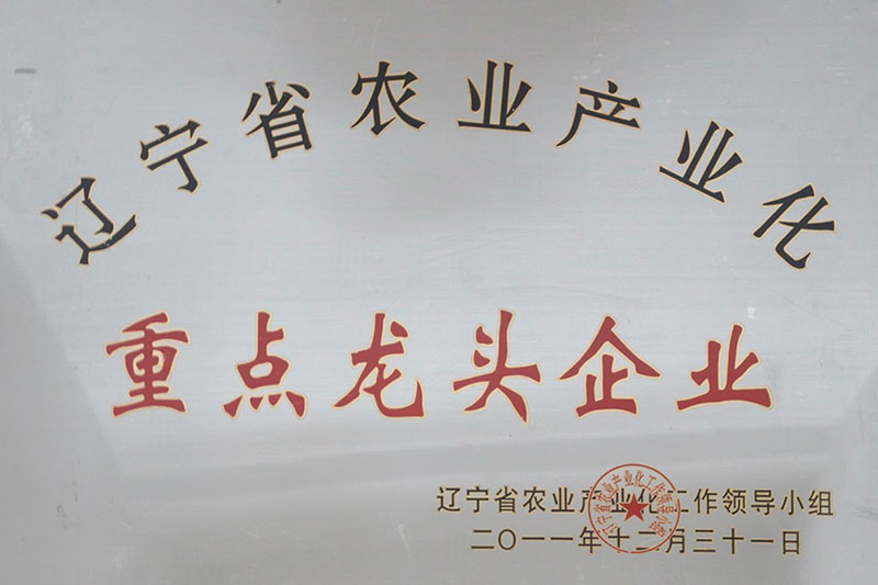 e5f11bb9737014b3ea2de811c908b07f