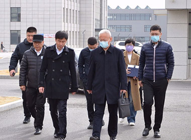 2543a144c1c77a5f242571678d65ac26