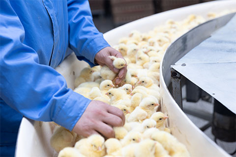 0e67c5233a8e9414798ad83e67d1dec1