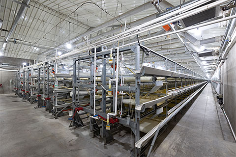 3c56e28e3fd693e1031d8c8931fcd903